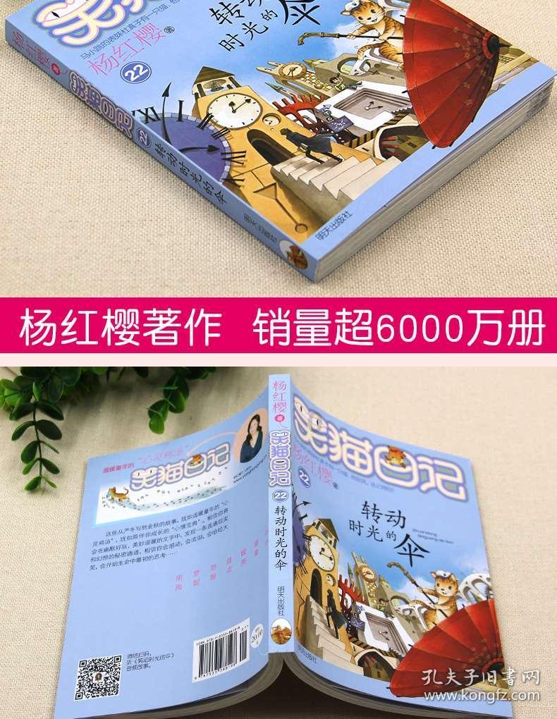 公共安全视频运维项目通过验收